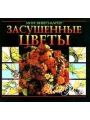 Засушенные цветы. Засушенные цветы.