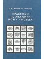 Практикум по анатомии мозга человека.